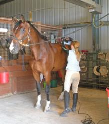 rainman massage with equisports massager